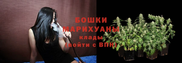 бошки Богданович