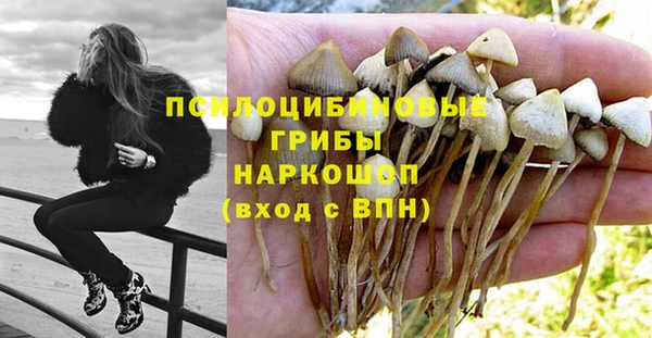дурь Богородицк