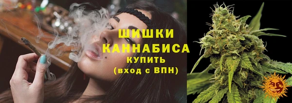 бошки Богданович