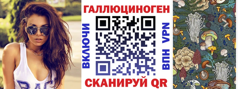 Купить  Грязовец  Галлюциногенные грибы ЛСД 